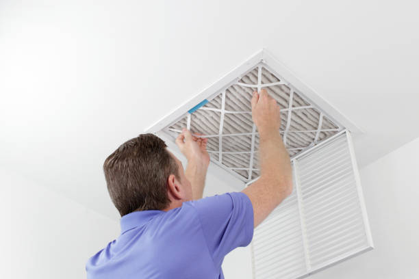 Air Duct Mold Removal in Verona, WI